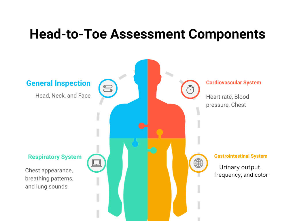 Head-to-Toe Assessment Checklist